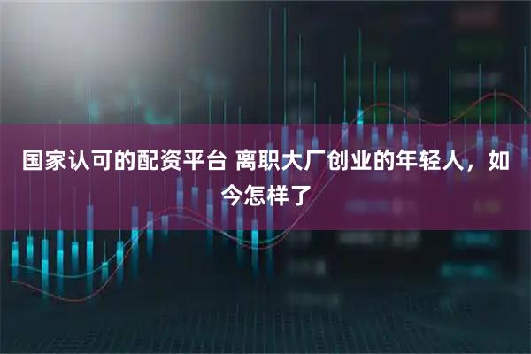 国家认可的配资平台 离职大厂创业的年轻人，如今怎样了