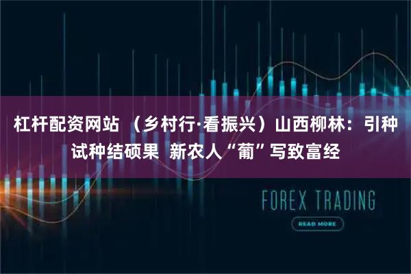 杠杆配资网站 （乡村行·看振兴）山西柳林：引种试种结硕果  新农人“葡”写致富经